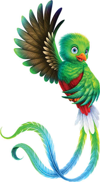 Tango the quetzal bird — VBS mascot